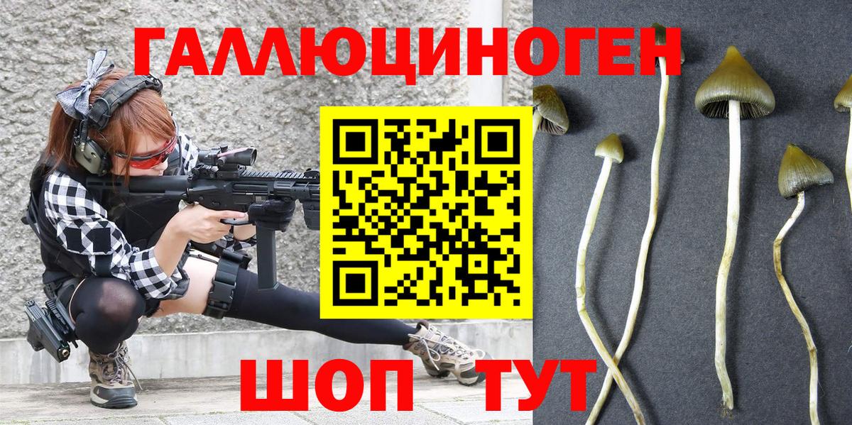 Галлюциногенные грибы Psilocybine cubensis  Вход с VPN  Сердобск  магазин продажи наркотиков  Псилоцибиновые грибы Magic Shrooms 